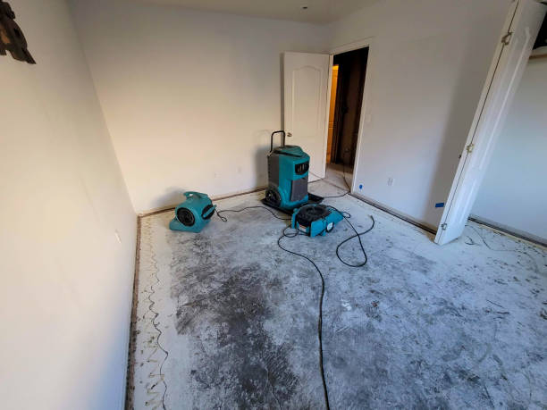 Best Residential water damage restoration  in Pimmit Hills, VA