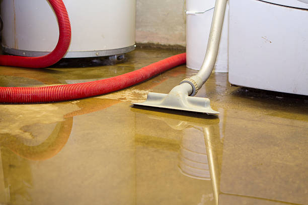 Best Water damage restoration insurance claims  in Pimmit Hills, VA