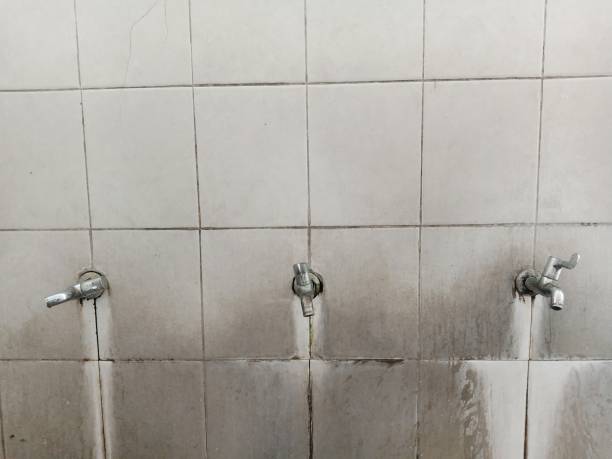 Best Mold removal after water damage  in Pimmit Hills, VA