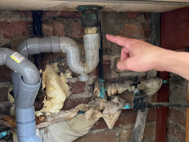 Best Sewage cleanup and water damage restoration  in Pimmit Hills, VA